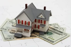 Read more about the article Bank vs. Mortgage Company for a Home Loan: Which is Better?